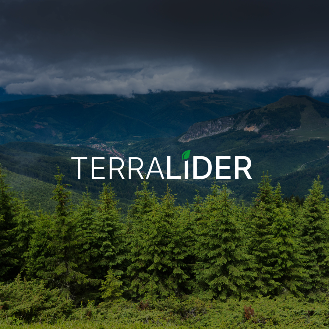 Terra Lider Urbanizadora Ltda