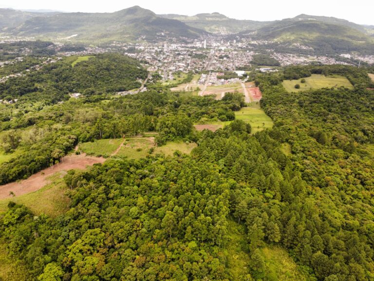 parque vita igrejinha