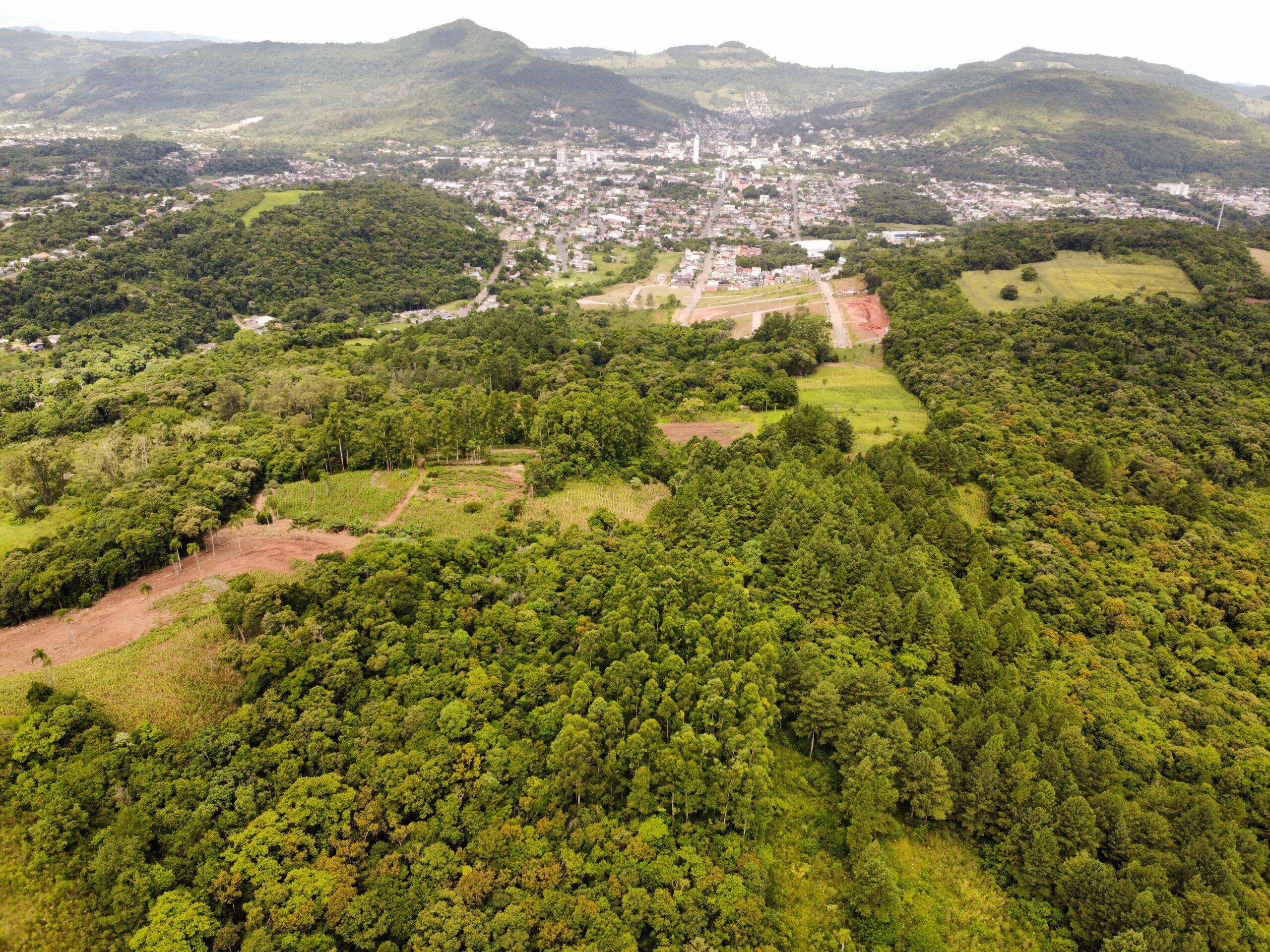 parque vita igrejinha