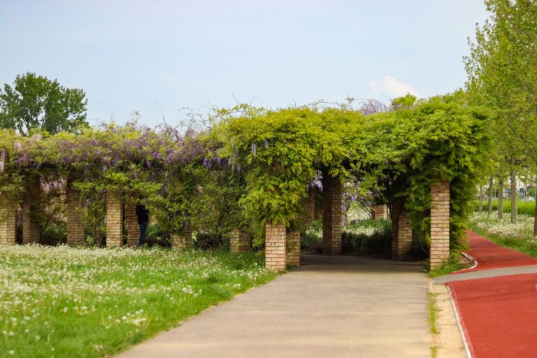 Jardim privativo com pista de caminhada.